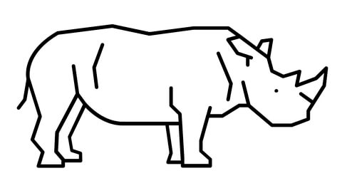 Sumatran Rhino Coloring Page